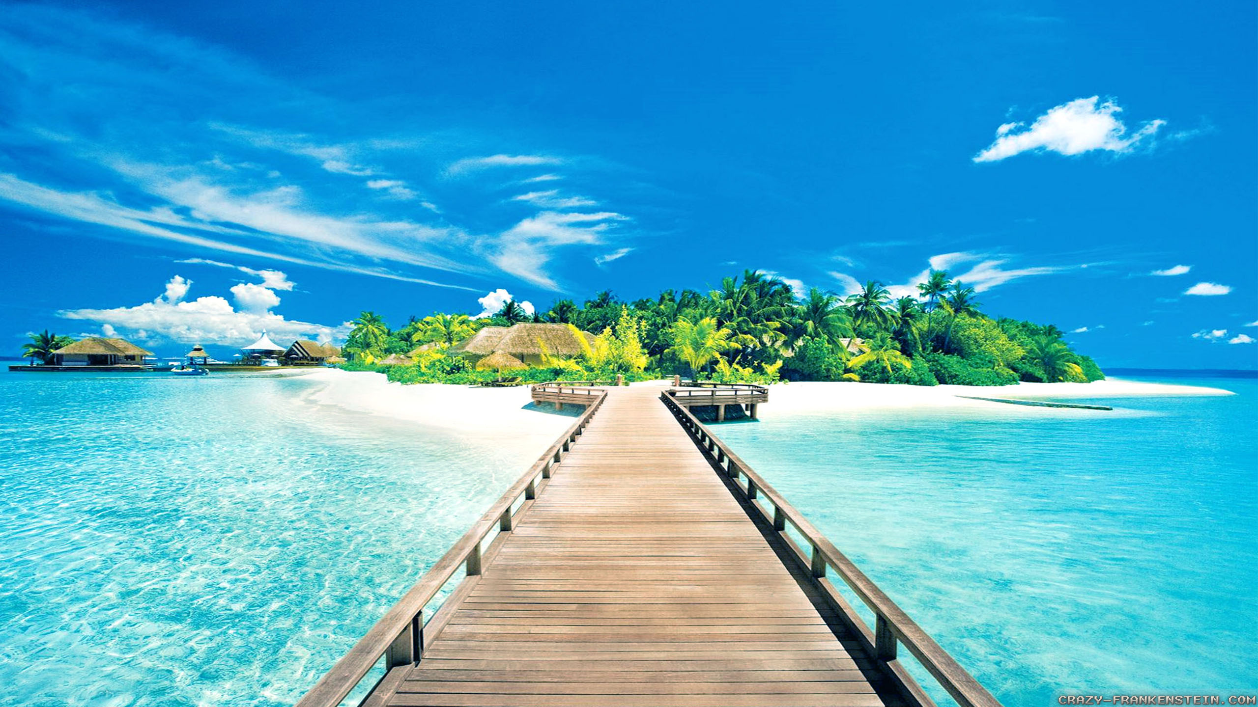 cruise-holiday