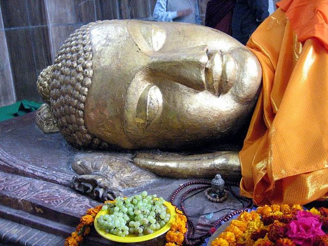 Buddha Circuit