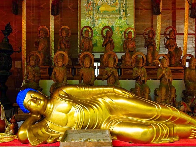 Buddha Circuit